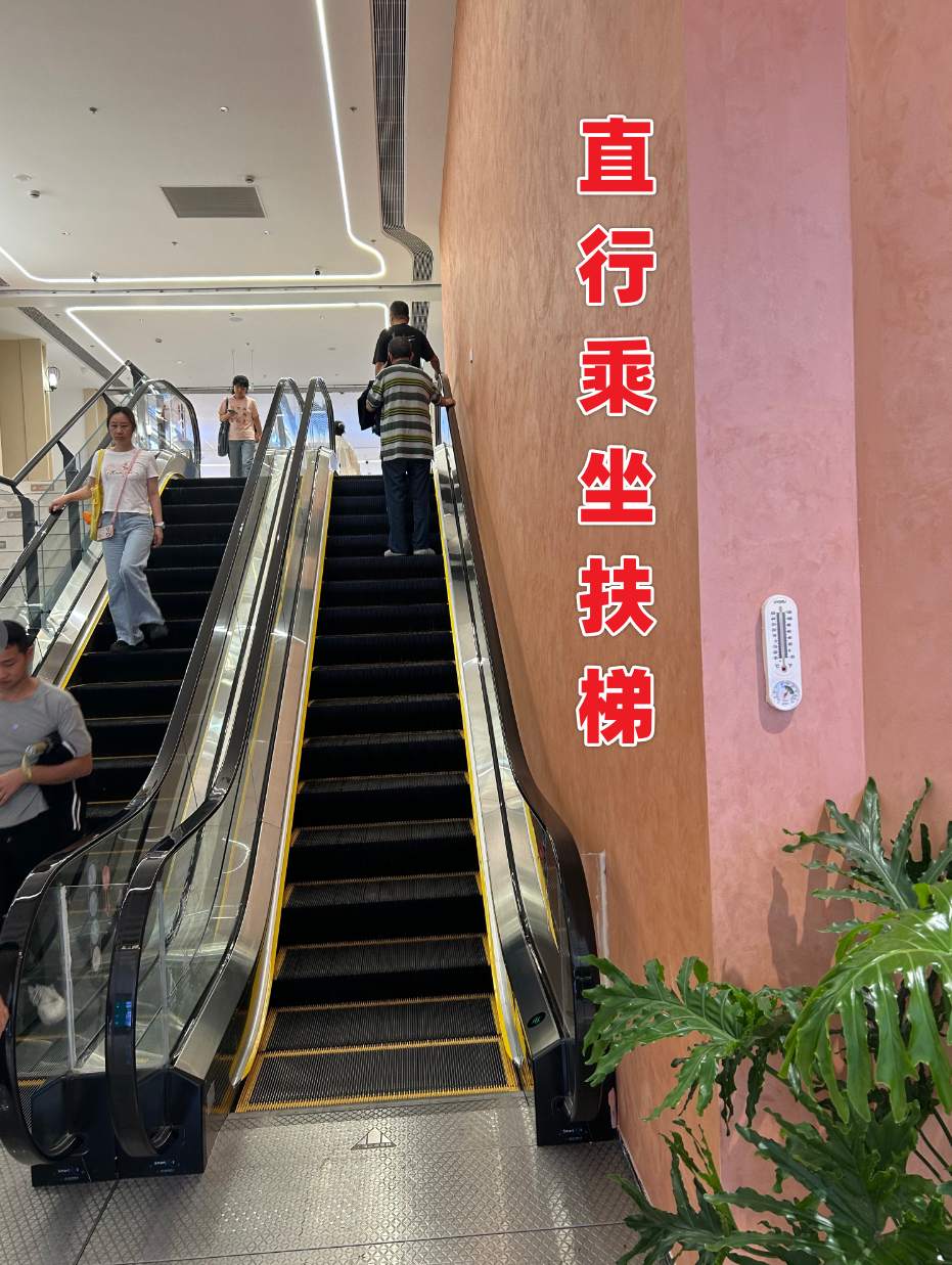 路线指引第5步